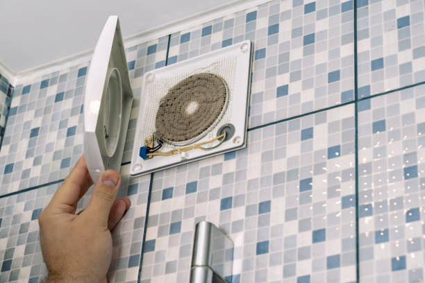 Best HVAC Duct Inspection Services  in Ridgewood, IL