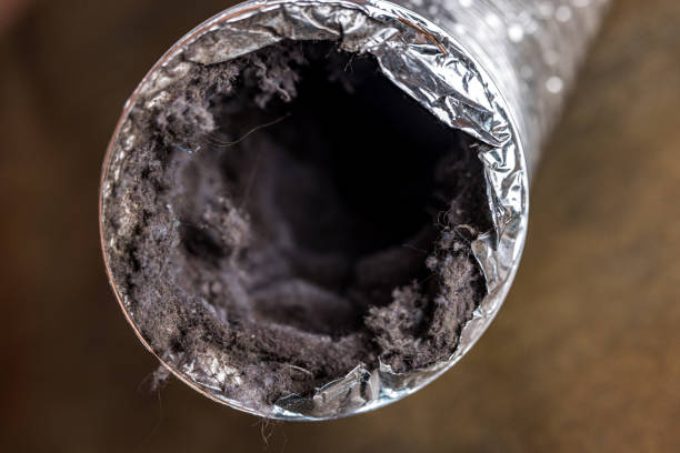 Ductwork Cleaning Services in Ridgewood, IL