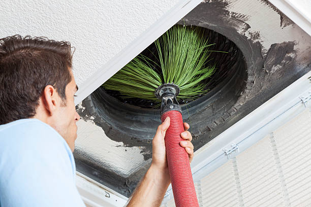 Best Local Air Duct Cleaning Services  in Ridgewood, IL
